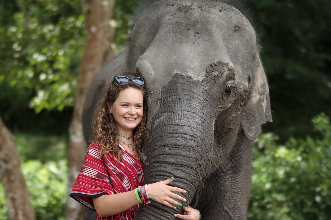 A visitor hugging an elephant